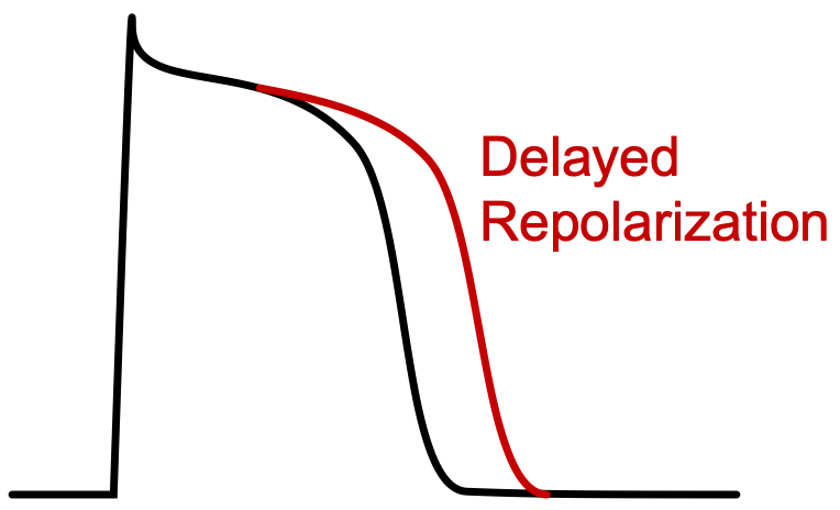 Delayed repolarization